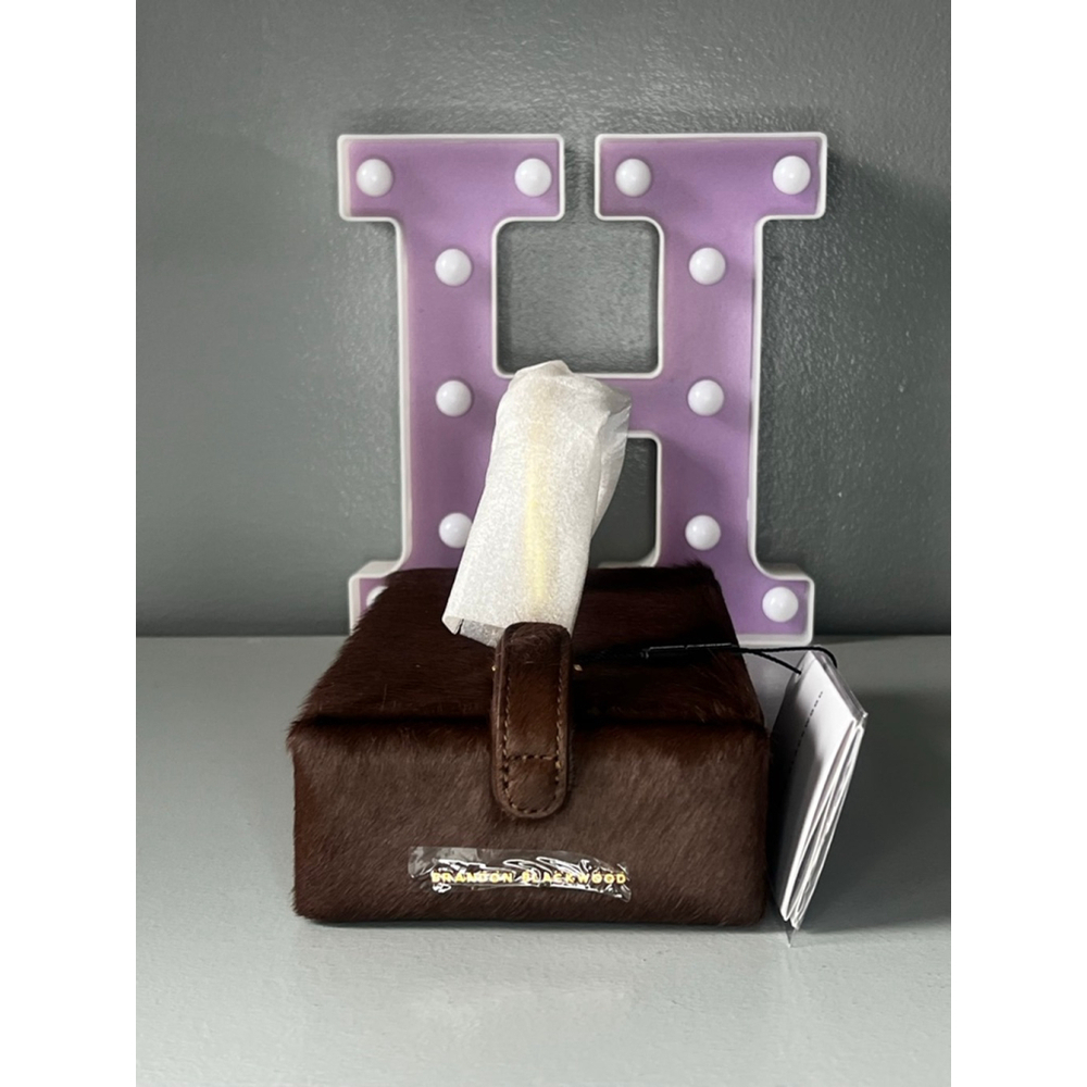 Brandon Blackwood VANITY KENDRICK TRUNK - brown ponyhair with brass hardware
